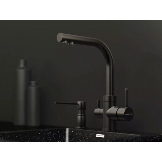 Смеситель для кухни PAULMARK Essen Metallum с краном для питьевой воды, воронёная сталь