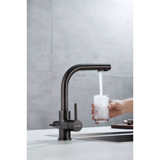 Смеситель для кухни PAULMARK Essen Metallum с краном для питьевой воды, воронёная сталь