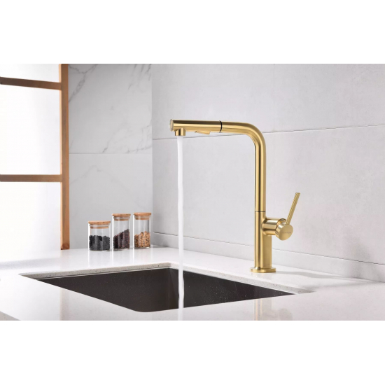 Смеситель для кухни PAULMARK Neo Metallum с вытяжным изливом, светлое золото
