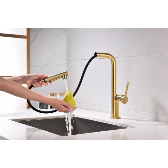 Смеситель для кухни PAULMARK Neo Metallum с вытяжным изливом, светлое золото