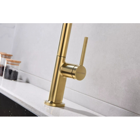 Смеситель для кухни PAULMARK Neo Metallum с вытяжным изливом, светлое золото