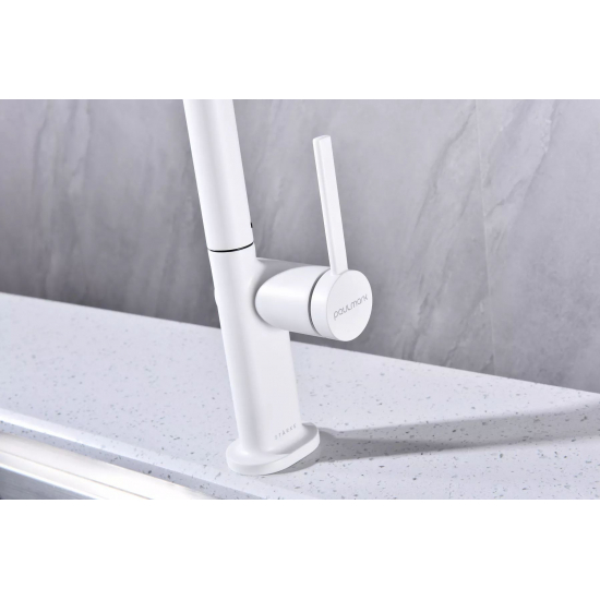 Смеситель для кухни PAULMARK Neo с вытяжным изливом, белый матовый