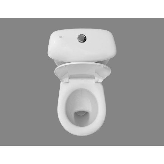 Унитаз компакт ОСКОЛЬСКАЯ КЕРАМИКА Радуга Стандарт косой выход, тарельчатый, декор одуванчик