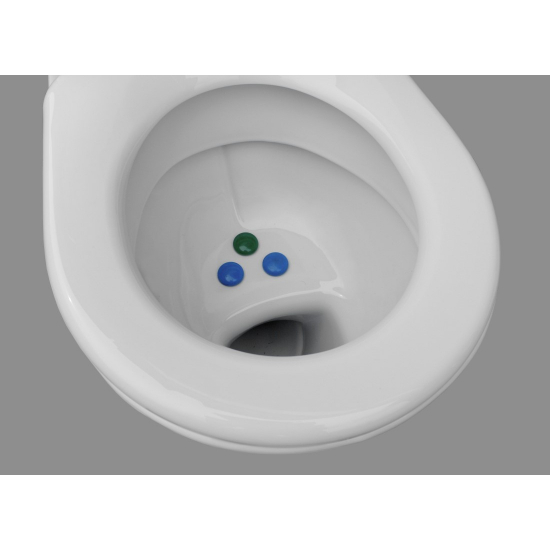 Унитаз компакт ОСКОЛЬСКАЯ КЕРАМИКА Радуга Стандарт косой выход, тарельчатый, декор одуванчик