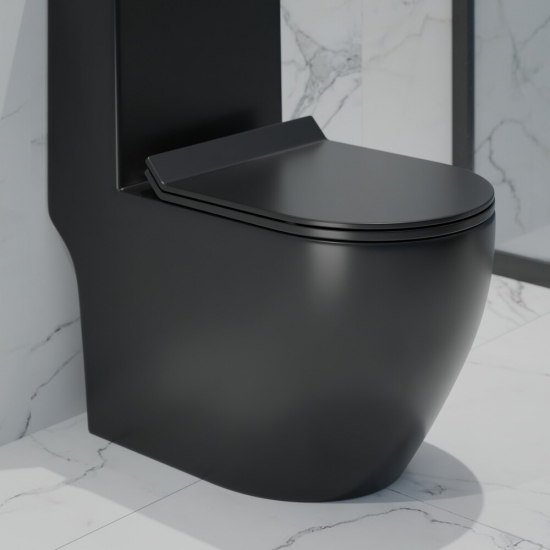 Унитаз моноблок EVA GOLD 5005BM сиденье микролифт тонкое, безоботковый чёрный матовый