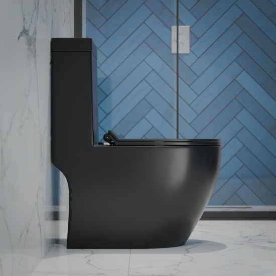 Унитаз моноблок EVA GOLD 5005BM сиденье микролифт тонкое, безоботковый чёрный матовый