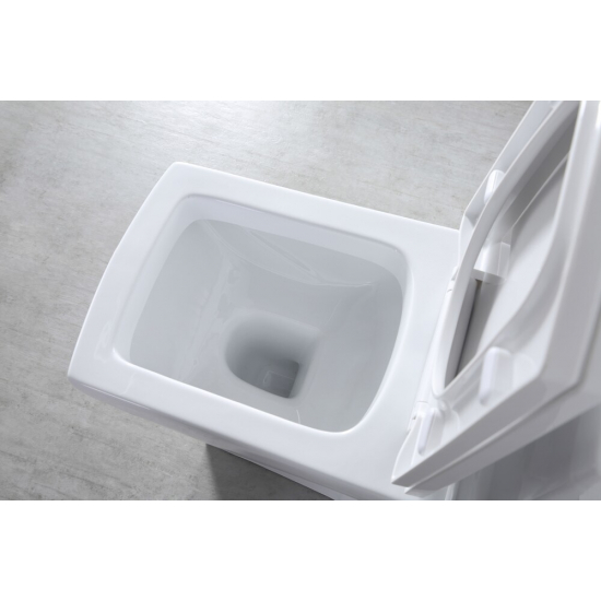 Унитаз моноблок EVA GOLD SM9006A сиденье микролифт