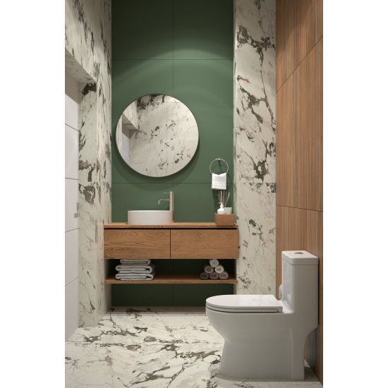 Унитаз моноблок EVA GOLD T1016 сиденье микролифт тонкое