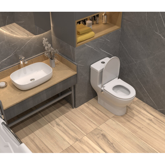 Унитаз моноблок EVA GOLD T1017B сиденье микролифт тонкое, с биде