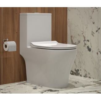 Унитаз моноблок EVA GOLD T1060 сиденье микролифт тонкое, безоботковый круговой смыв