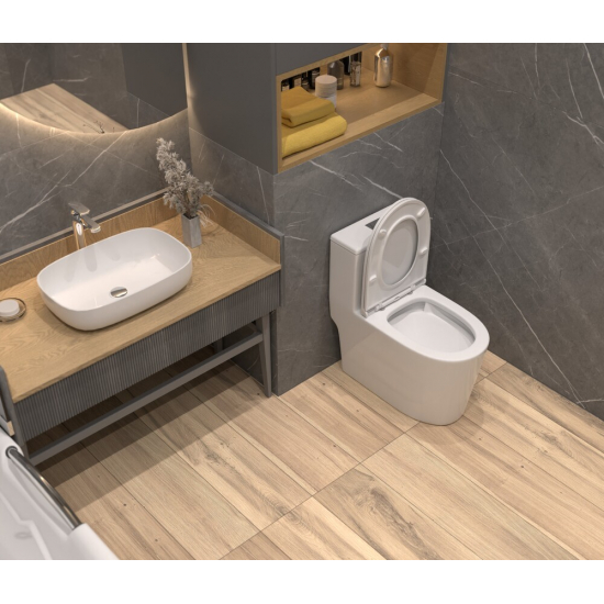 Унитаз моноблок EVA GOLD T1083 сиденье микролифт тонкое, безоботковый круговой смыв