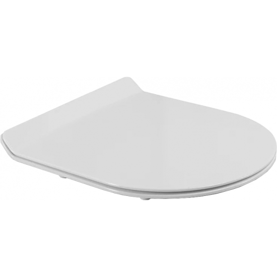 Унитаз подвесной BELBAGNO Ancona BB1224CHR-SM безободковый, с микролифтом