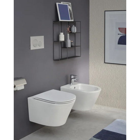 Унитаз подвесной JACOB DELAFON Rodin+ EDY102-00