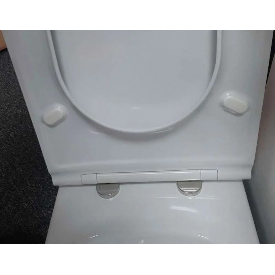 Унитаз подвесной JACOB DELAFON Rodin+ EDY102-00