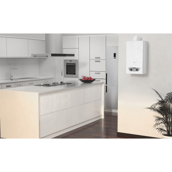 Водонагреватель газовый ARISTON FAST R ONM 14 NG RU