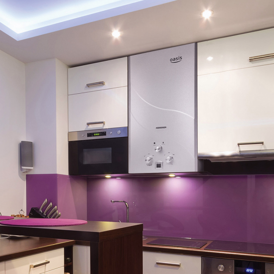 Водонагреватель газовый OASIS 20 OG (сжиженный газ)