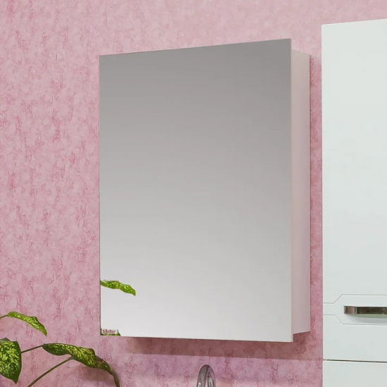 Зеркало-шкаф SANFLOR Анкона 60 R правое 