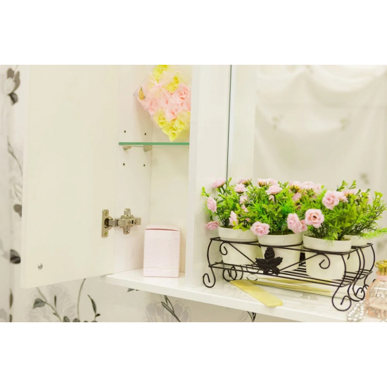 Зеркало-шкаф SANFLOR Ксения 60 L левое