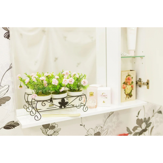 Зеркало-шкаф SANFLOR Ксения 70 R правое