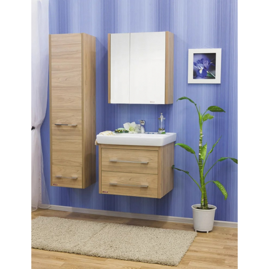 Зеркало-шкаф SANFLOR Ларго 70 R правое вяз швейцарский